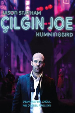 Çılgın Joe